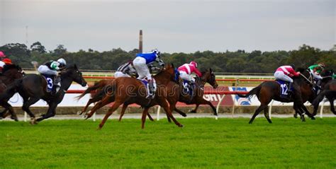 Horse Racing Jockeys Action Editorial Image Image Of Winning Close