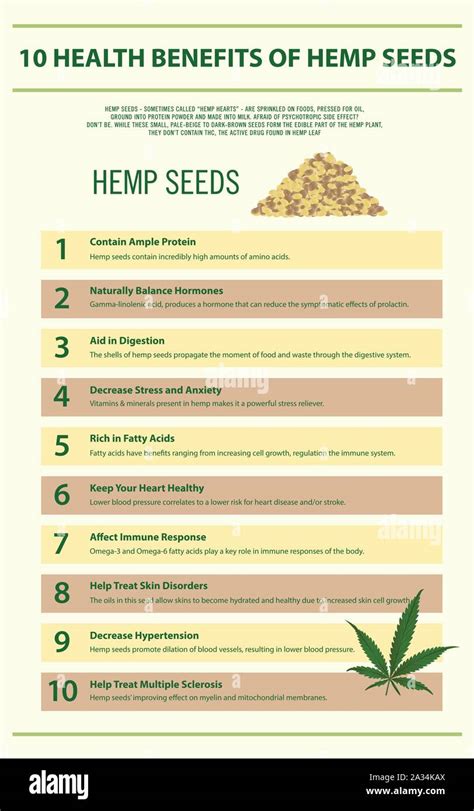 10 health benefits of hemp seeds vertical infographic illustration about cannabis as herbal