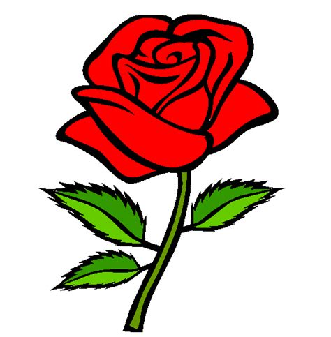 Red Rose Drawings ClipArt Best