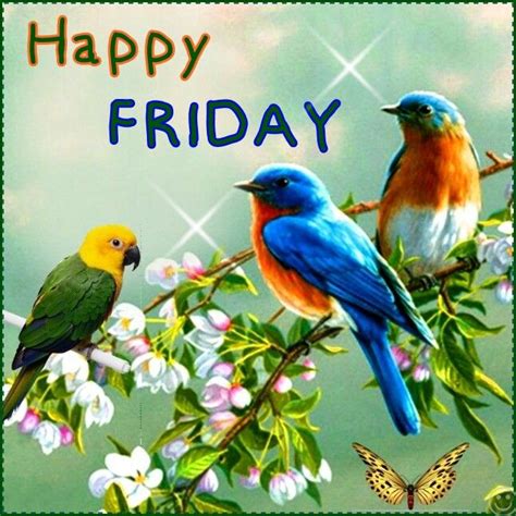Friday Good Morning Beautiful Pictures Bird Good Morning Images