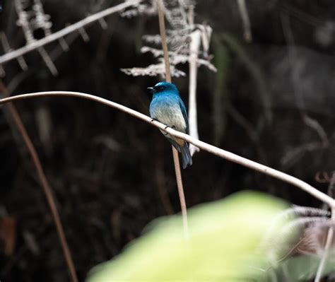 What To Do In Kinabalu Park Complete Trail Guide We Seek Travel