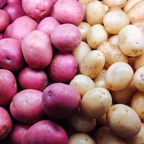 11 Foods You Should Buy Organic And 12 You Shouldnt Purewow Irish