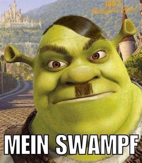 150 Funny Shrek Memes For True Ogres And Donkeys Bloggame247
