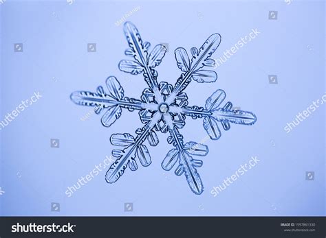 Real Snowflake Microscope Shot Stock Photo 1597861330 Shutterstock