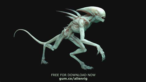 Covenant is apparently on indefinite hold, the. Alien Covenant Neomorph Maya Rig - FREE DOWNLOAD - YouTube