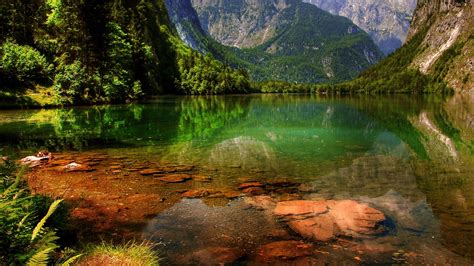 Beautiful Landscape View Of Green Trees Covered Mountains Reflection On