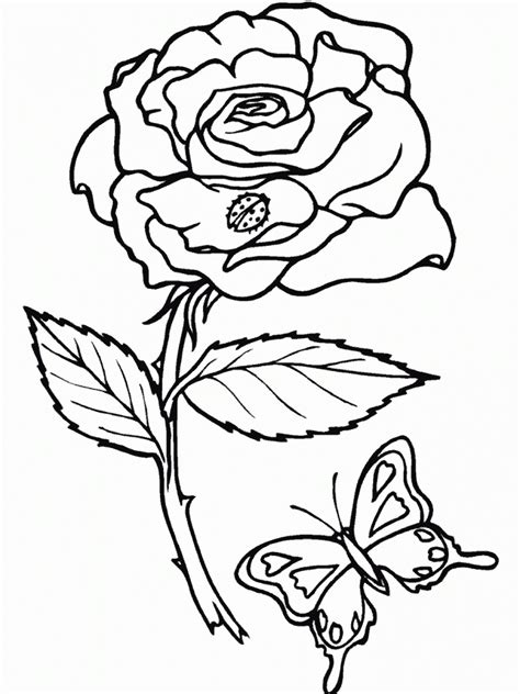 Printable Roses Coloring Pages
