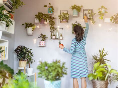 Houseplant Tips And Tricks Ingenious Hacks For Indoor Plants