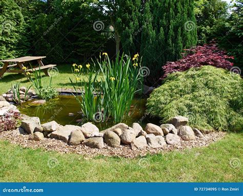 Beautiful Classical Garden Fish Pond Gardening Background Stock Image