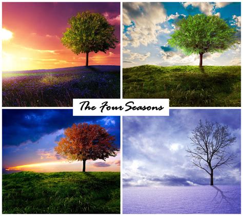 The Four Seasons By Emerald Depths On Deviantart