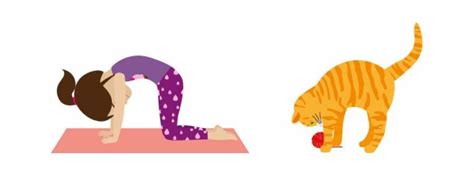25 Best Animal Yoga Poses For Kids Intrigue Your Kids Interest In