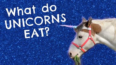 What Do Unicorns Eat — Lulu The Unicorn Answers Your Questions Youtube