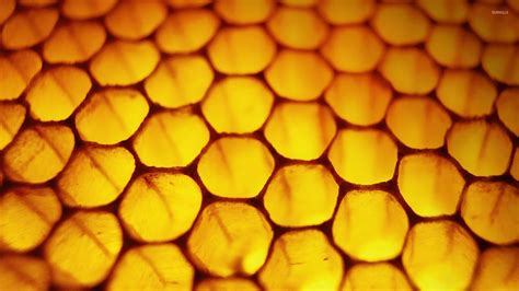 Wallpaper Honeycomb Design Wallpapersafari