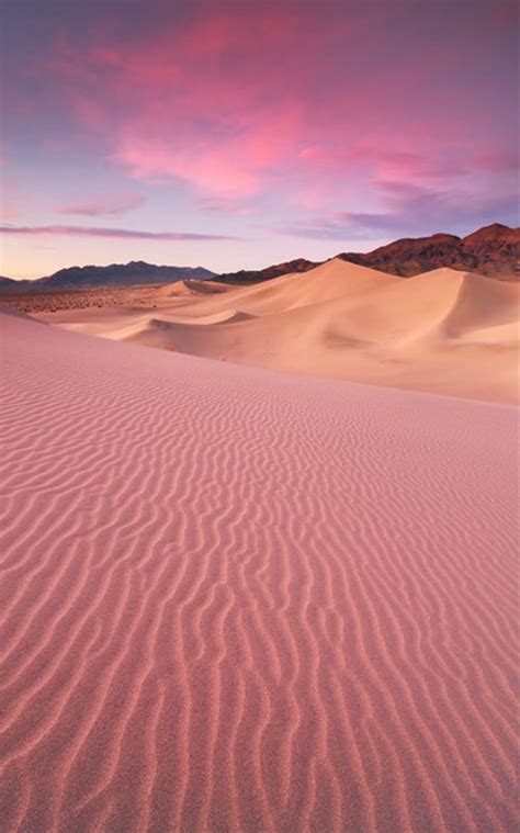 Pin on Desert Oasis