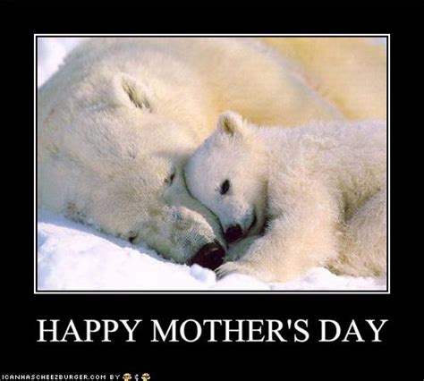 Funny Low 78 Mothers Day Funny