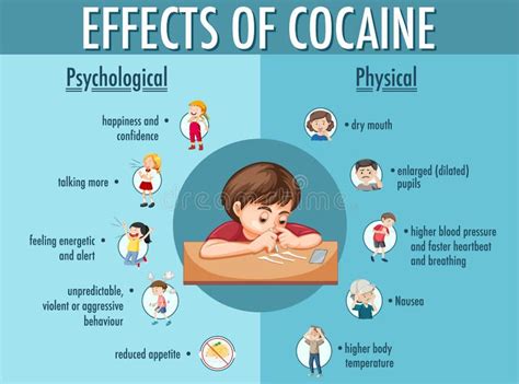 Efeitos Infogr Ficos Da Informa O Sobre Coca Na Ilustra O Do Vetor