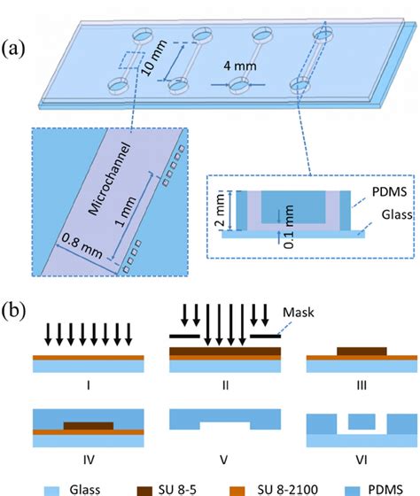A Dimensions Of Microfluidic Devices For VSMC Culture Channel Download Scientific Diagram