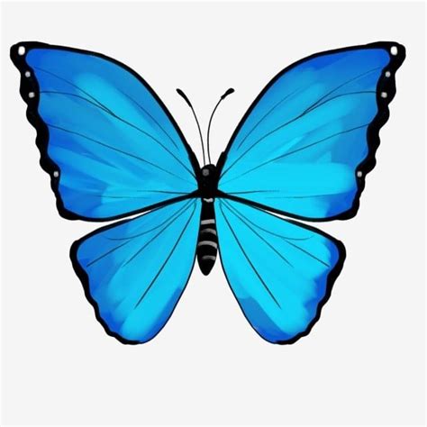 Imagenes De Mariposas Azules Para Imprimir Images And Photos Finder