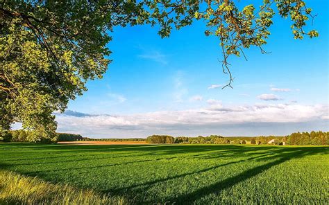 Trees Clouds Beautiful Grass Sky Farm Field Spring Trees