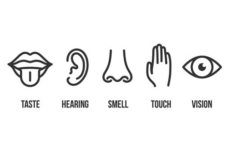 Vision Hearing Smell Touch Taste Dental Logo Design Hearing Senses