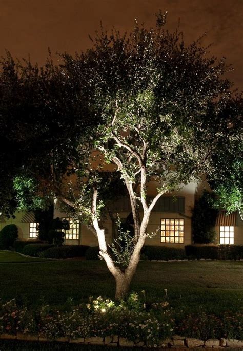 Uplighting A Tree In A Front Garden Can Subtly Direct Visiting Traffic