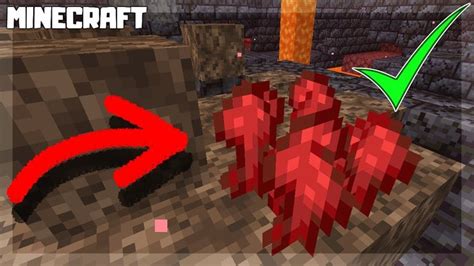 Completed Guide And Tips On How To Grow Nether Warts In Minecraft Guuvn