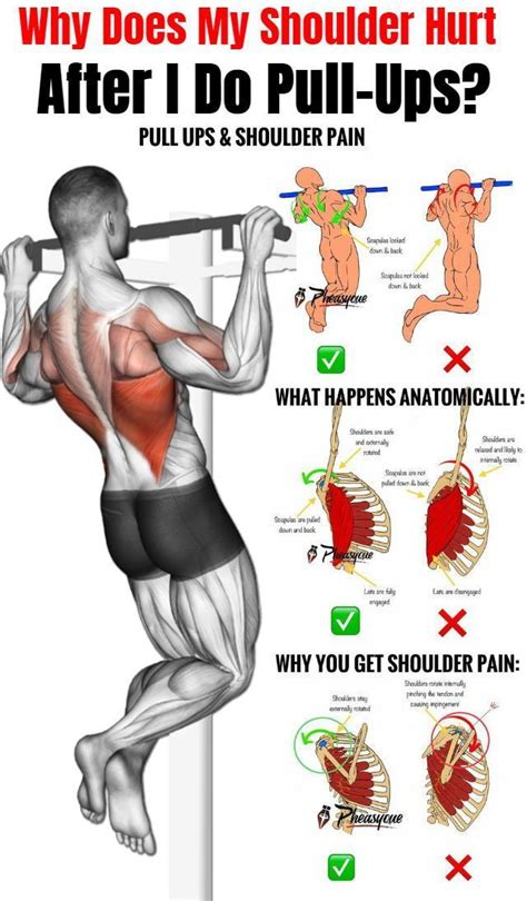 Pull Ups Workout Routine For Muscle Growth Pull Up Workout Gym
