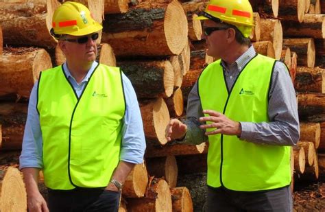 Forestry Funds Help Rural And Regional Youth Country