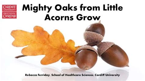 Mighty Oaks From Little Acorns Grow