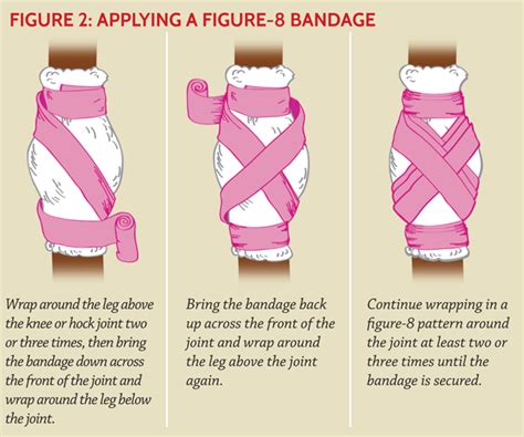In this way, the dominant arm can remain free and simple activities will be allowed (writing, keyboarding and other). Equine First Aid - Bandaging a Horse | Horse Journals