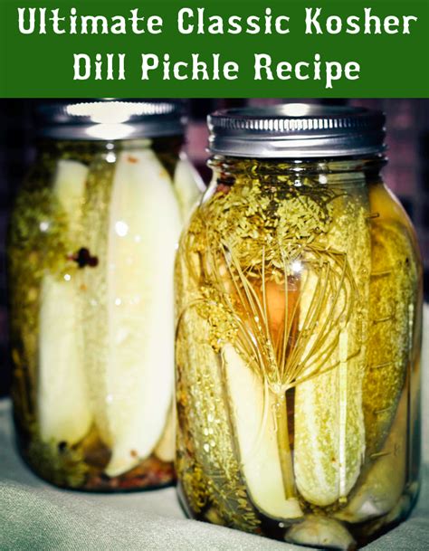 The Ultimate Classic Kosher Dill Pickle Recipe Pickle Recipes Homemade