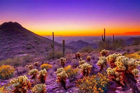 View Of Phoenix At Sunset From Tubby Salway Arizona Sunset Arizona