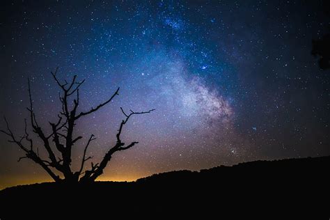 Milky Way Galaxy Silhouette Withered Tree Night Time Dark Sky