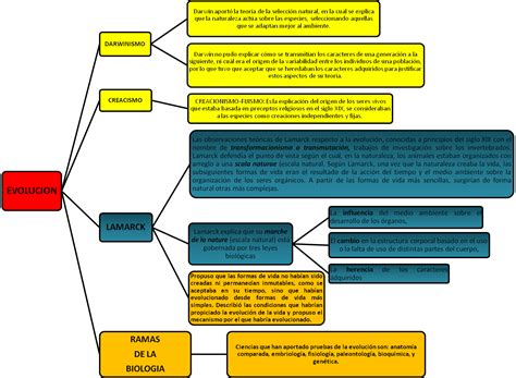 Mapas Conceptuales EvoluciÓn Bueno Actividad 2 Mapas Conceptuales