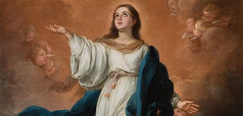 A Reflection For The Solemnity Of The Immaculate Conception Of The Blessed Virgin Mary