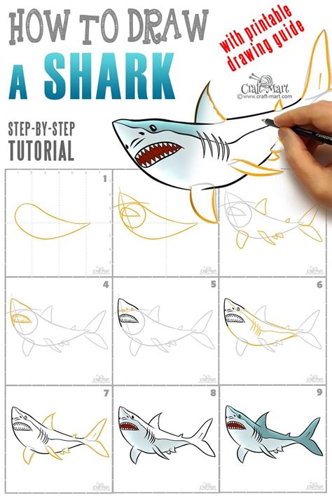 Whale Shark Drawing Artofit