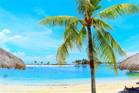 セブ島だけじゃない！フィリピン旅行のおすすめ離島5選 セブ・フィリピン旅行の専門サイト｜フィリピンツアー