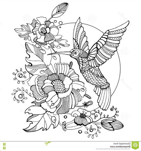 There are many species living in the americas. 45 Elegant Images Of Hummingbird Coloring Pages for Adults ...