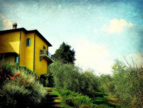 Yellow House In Tuscany Photograph By Toni Abdnour Fine Art America