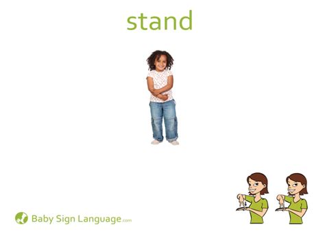 Baby flash cards for toddlers. Stand