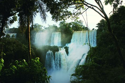 Fotos Gratis árbol Naturaleza Bosque Cascada Selva Tropical Cuerpo De Agua Cascada De