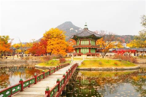Love is a beautiful thing. Top 10 Things To Do In South Korea To Witness Its Colorful ...