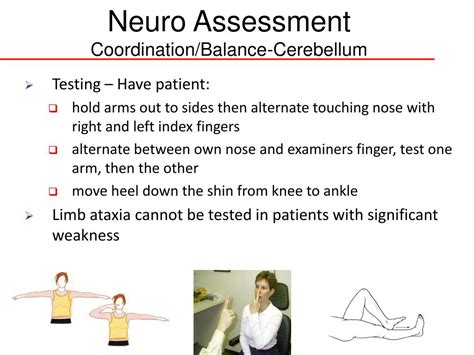 Ppt Advanced Neuro Assessment Powerpoint Presentation Free Download