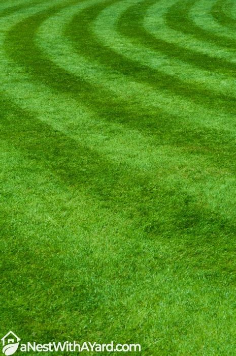 Most Efficient Mowing Pattern For Your Lawn In 2023