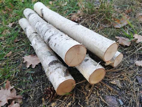 5 Natural Wood Logs Wooden Logs Logs Craft Supplies Wood Etsy