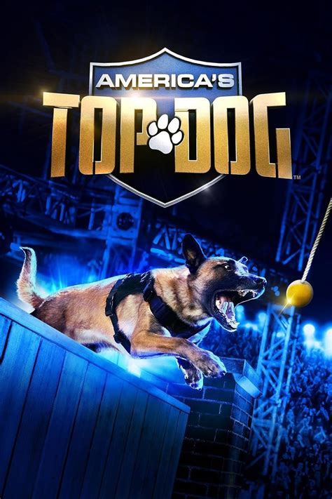 Americas Top Dog Tv Series 2020 Imdb