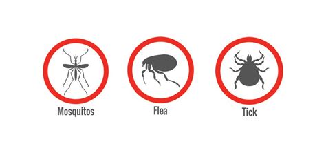 Strategies To Get Rid Of Mosquitos Fleas And Ticks Advanced Turf