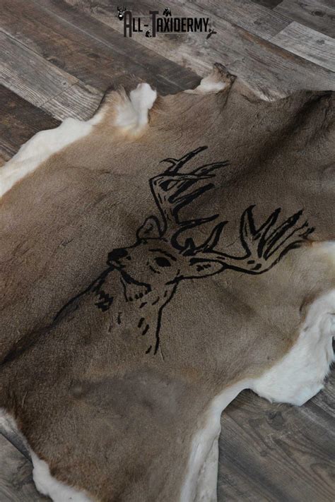Whitetail Deer Hide With Buck Print Taxidermy For Sale Sku 1605 All