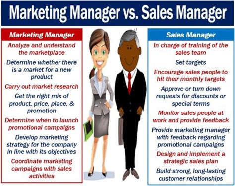 What Is A Marketing Manager Definition And Examples