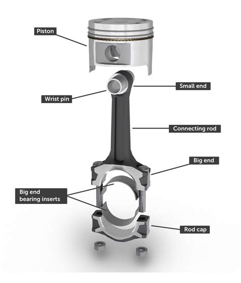 Piston Cylinder Assembly Diagram